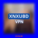 XNXubd VPN BrowserHub