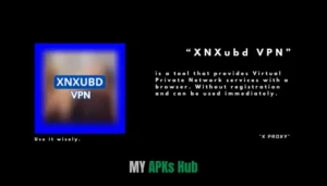 XNXubd VPN BrowserHub – Unlock Fast & Safe Browsing Today 1